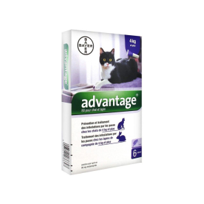 Bayer solution antipuce pour chat et lapin de 4kg et plus 6 pipettes