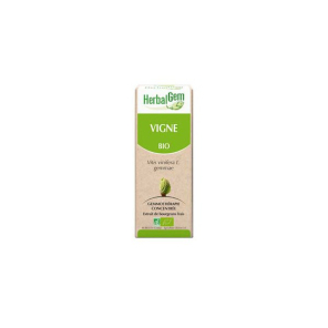 Herbalgem vigne bio 30ml
