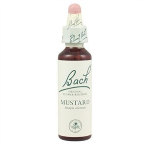 Fleurs de bach mustard 20ml