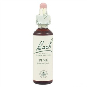 Fleurs de bach pine 20ml