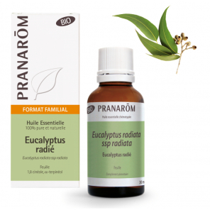 PRANAROM Huile Essentielle Eucalyptus Radié Bio 30 ml