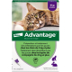 ADVANTAGE Chat Solution Anti-puces Chats + 4KG Pipettes boite de 4