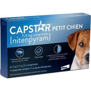 CAPSTAR Petit Chien 11.4MG Comprimés boite de 6