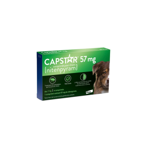 CAPSTAR CHIEN GRAND 57MG CPR BTE 6