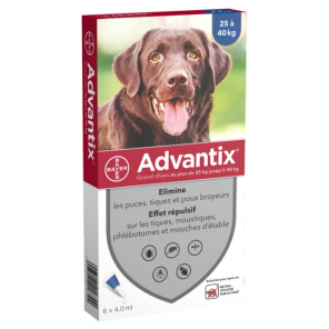 ADVANTIX Grand Chien 25-40KG Pipettes boite de 6