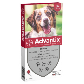 Bayer Advantix Chien 10 à 25 Kg 4 Pipettes