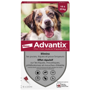 Bayer Advantix Chien Moyen 10 à 25kg 6 pipettes anti puces et tiques