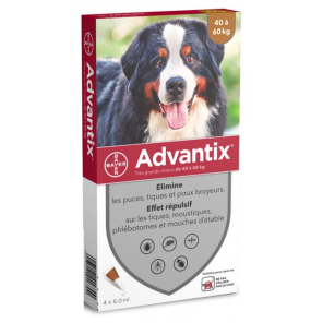 ADVANTIX très Grand Chien 40-60KG Pipettes boite de 4