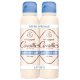ROGE CAVAILLES Absorb+ 48H Déodorant Anti-Traces Spray Lot de 2 x 150 ml