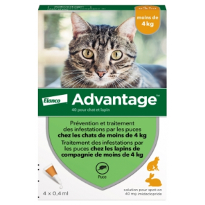 ADVANTAGE 40 Solution Anti-puces pour Chat et Lapin de - 4kg Pipettes boite de 4