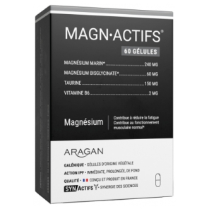 SYNACTIFS Magn-Actifs Gélules boite de 60