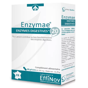 EFFINOV Enzymae Enzymes Digestives 20 Gélules