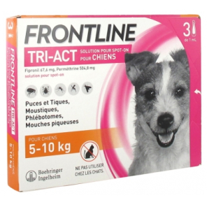 FRONTLINE Tri-Act Chien 5-10KG Pipettes boite de 3