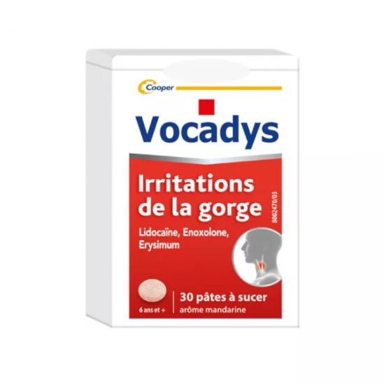 VOCADYS Irritations de la Gorge Pâtes Buccales boite de 30